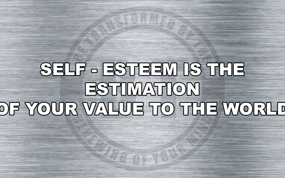 SELF-ESTEEM IS THE ESTIMATION OF YOUR VALUE TO THE WORLD