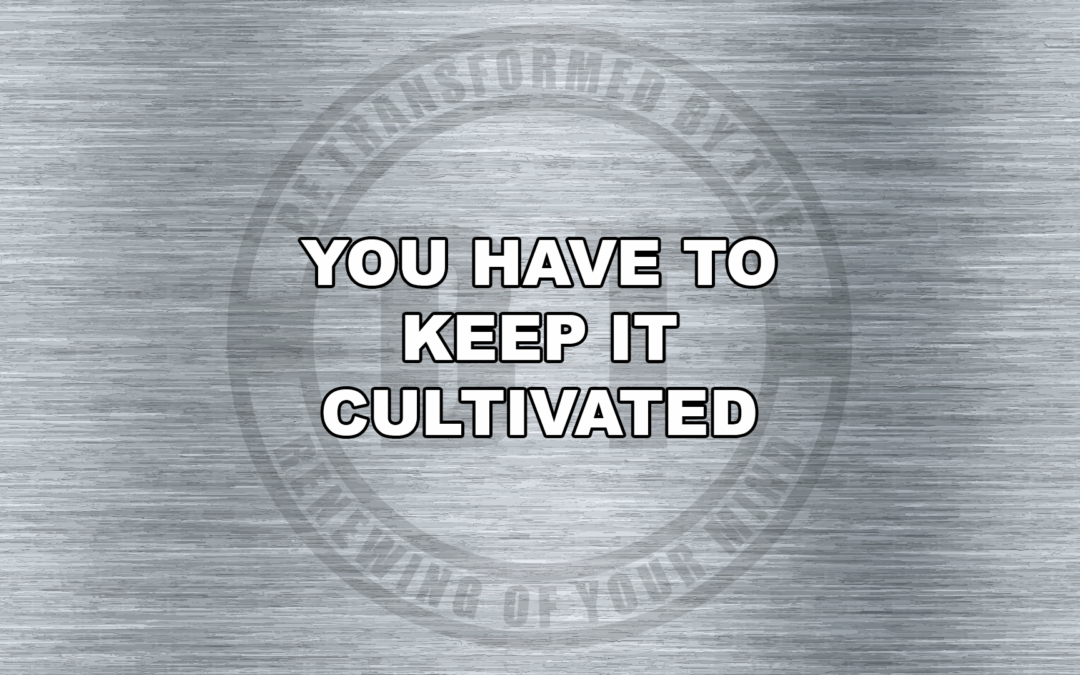 YOU HAVE TO KEEP IT CULTIVATED